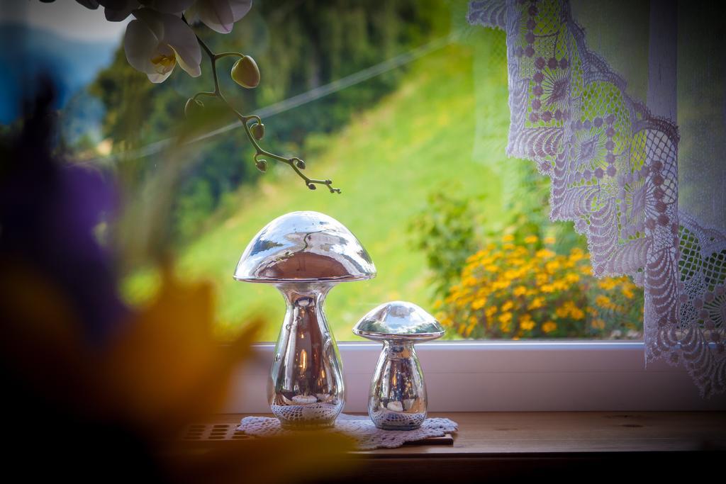Pension Verdinserhoehe Schenna Extérieur photo